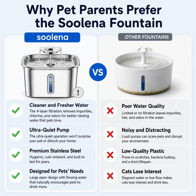 Soolena Water Fountain