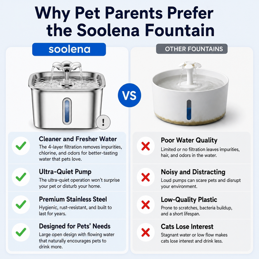 Soolena Water Fountain