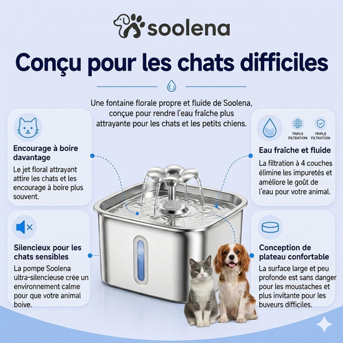 Fontaine à Eau Soolena